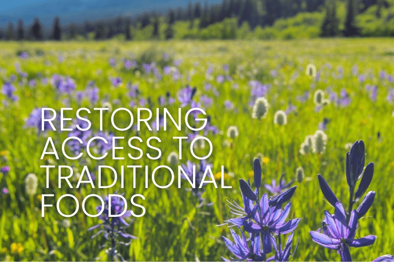 Restoring Access to Traditional Foods